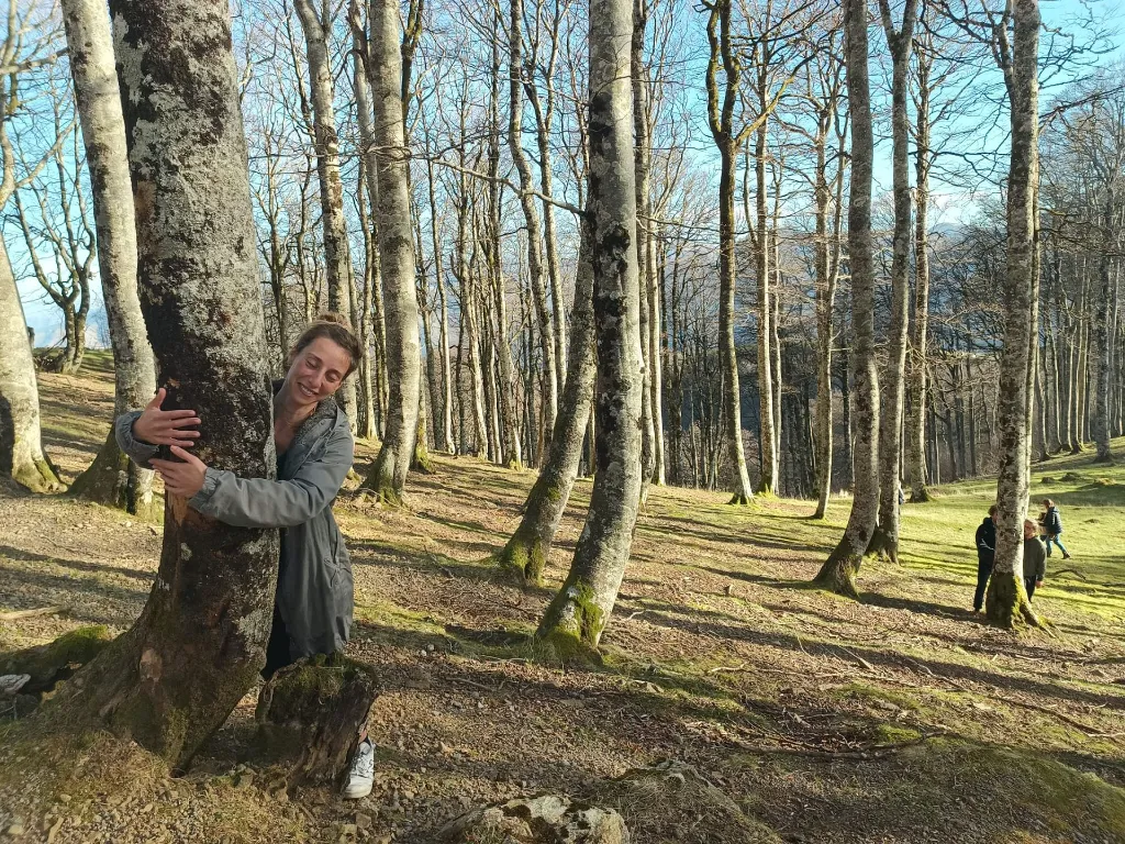 calin d'arbre.webp