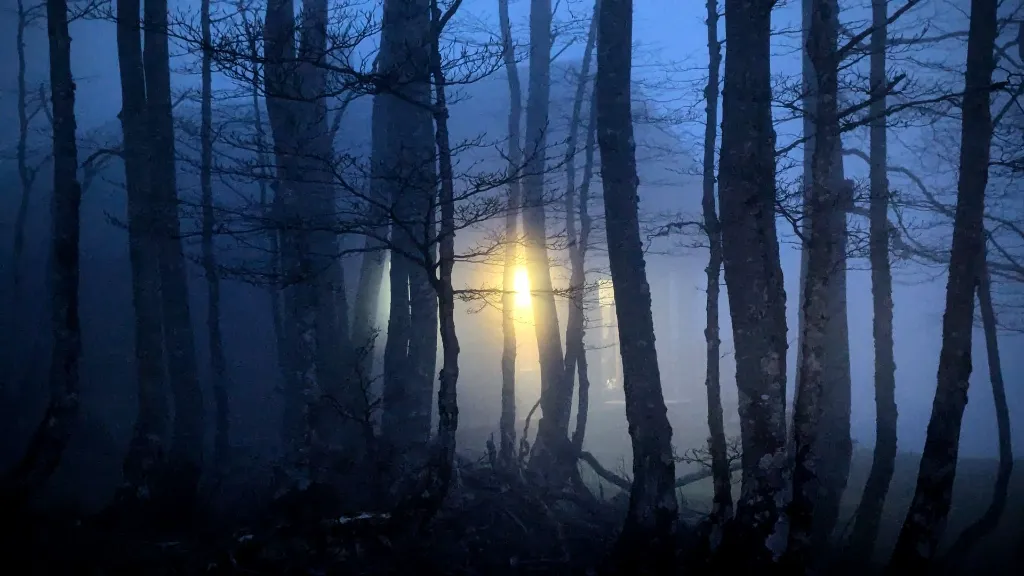 original_b479ba20-60b3-4a62-8d2a-a59e96b2ab54_PXL_20250412_190049910.NIGHT.webp