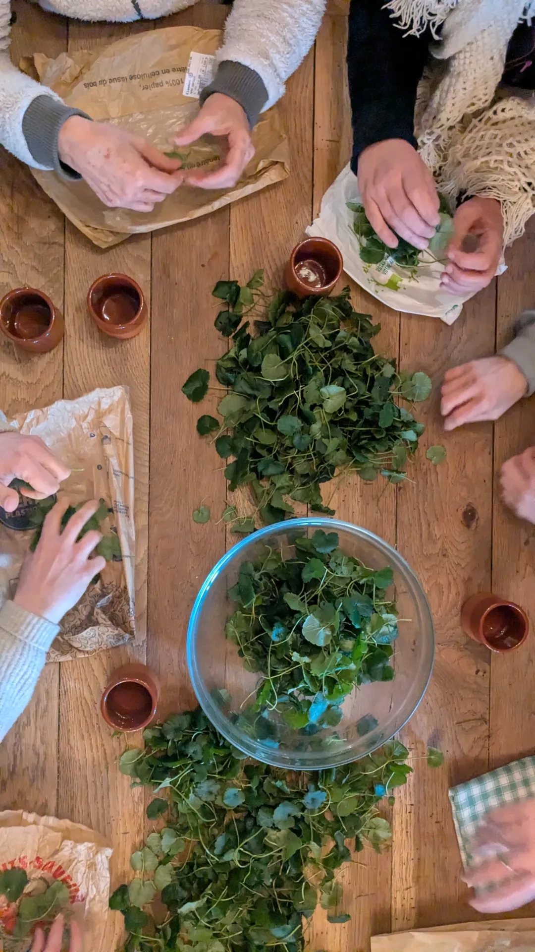 Formation courte Cuisine Sauvage